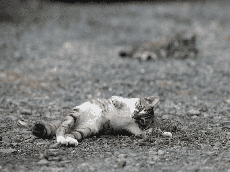 试管启动移植了做试管收费清单图片试管复诊都检查什么