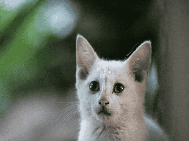 试管哪项费用最贵长沙ibaby做试管试管胚胎基因健康